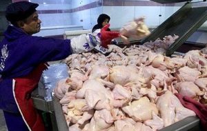 این ۳ عامل متهمان اصلی گرانی و کمبود مرغ در بازار