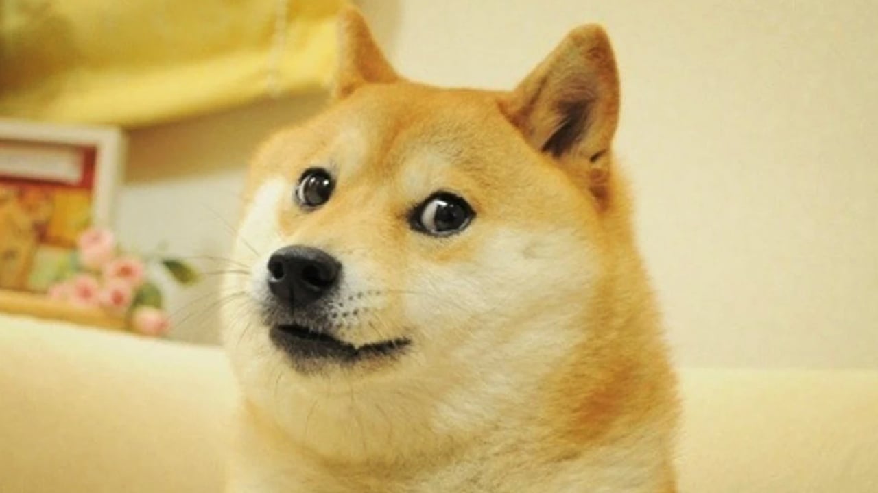 توییتر لوگوی پرنده را به تصویر Doge تغییر داد، قیمت Dogecoin پس از تغییر 20٪ افزایش یافت