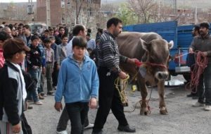 جشن سی‌وششمین روز بهار – ایسنا