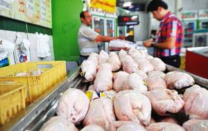 قیمت مرغ؛ ۳۰ هزار تومان گران‌تر از نرخ مصوب