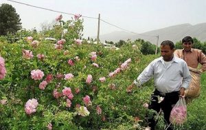 هشتم اردیبهشت با نام روز میمند نامگذاری شد