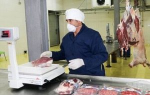 چرا گوشت قرمز در بازار گران شد؟