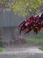 بارش شدید باران در مشهد و گلستان/وزش باد شدید در شرق کشور