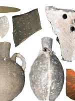 کشت برنج در مازندران قدمت ۳۰۰۰ ساله پیدا کرد/ الهه‌ای با دست‌های گشوده