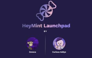 Curious Addys و Zeneca پلتفرم مبتدی NFT HeyMint را راه اندازی کردند