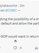 CNBC: کاخ سفید در حال بررسی امکان تمدید سقف بدهی کوتاه مدت است