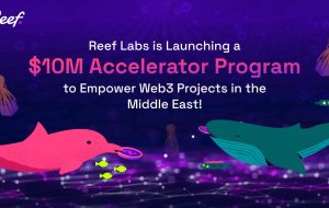 Reef Labs در حال راه اندازی یک برنامه شتاب دهنده 10 میلیون دلاری برای توانمندسازی پروژه های Web3 در خاورمیانه است – بیانیه مطبوعاتی Bitcoin News