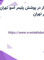 استخدام حسابدار در پوشش پلیمر آسو تهران در محدوده پامنار تهران