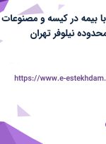 استخدام منشی با بیمه در کیسه و مصنوعات کاغذی ایران در محدوده نیلوفر تهران