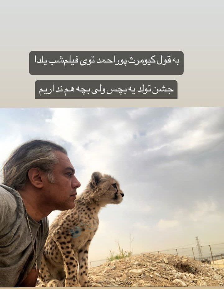 استوری تلخ علیرضا شهرداری برای تولد «پیروز»