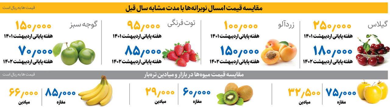 بازار میوه در مسیر کاهش قیمت | قیمت زردآلو، گیلاس، توت فرنگی، موز و گوجه سبز را ببینید