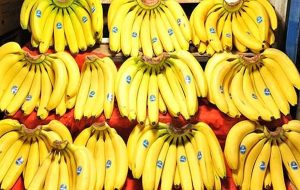 بهای واردات موز ۴۰۰ درصد بیشتر شد!