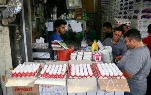 عرضه تخم‌ مرغ ۱۰ درصد زیر قیمت مصوب/ قیمت‌ها گران نشده، واقعی شده