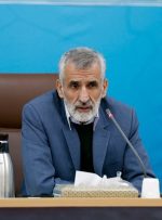 میراحمدی: تلاش دولت ایران و عراق تسهیل زیارت زوار اربعین حسینی است