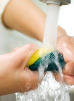 ۵ روش ضدعفونی کردن اسکاچ ظرفشویی