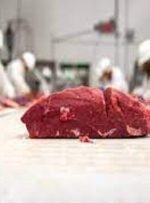 وضعیت بازار گوشت، قرمز شد