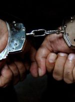 فرار ۲۵ عضو داعش از زندان تحت کنترل ارتش ترکیه