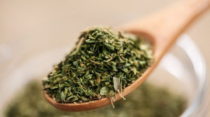 پونه کوهی خشک شده