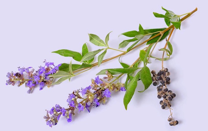 درمان خانگی تخمدان پلی کیستیک با گیاه پنج انگشت