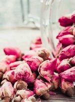 خواص جادویی و درمانی « گل محمدی » برای سلامتی