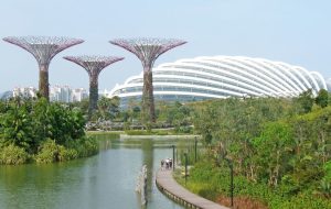 ریپل کریپتو تاییدیه اصولی مجوز موسسه پرداخت عمده در سنگاپور را دریافت کرد