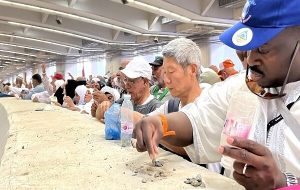 اسرار رمی جمره / چرا حجاج ۴۹ بار نماد شیطان را سنگ می‌زنند؟