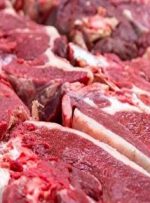 ابلاغ حقوق یک درصدی واردات گوشت قرمز