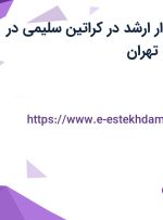 استخدام حسابدار ارشد در کراتین سلیمی در محدوده صادقیه تهران