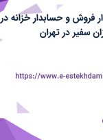 استخدام حسابدار فروش و حسابدار خزانه در کاوش داده پردازان سفیر در تهران