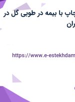 استخدام طراح چاپ با بیمه در طوبی گل در محدوده اباذر تهران