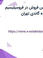 استخدام کارشناس فروش در فروسیلیسیم خمین در محدوده گاندی تهران