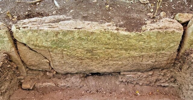 کشف یک شهر باستانی در جنگل