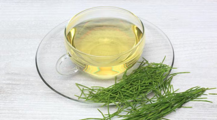 فواید گیاه و دمنوش دم اسب