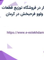استخدام حسابدار در فروشگاه توزیع قطعات یدکی کامیونهای ولوو فرحبخش در کرمان