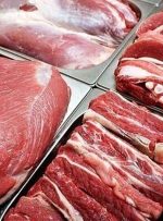 گوشت ارزان کنیایی در راه بازار ایران/ نیسان آبی دادیم گوشت قرمز گرفتیم