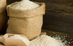  واردات برنج هم شرطی شد