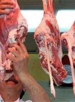 گوشت ایرانی چرا دو برابر قیمت جهانی؟