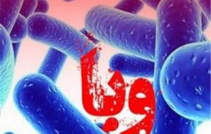 طغیانی از «وبا» نداریم / توصیه وزارت بهداشت در فصل گرما