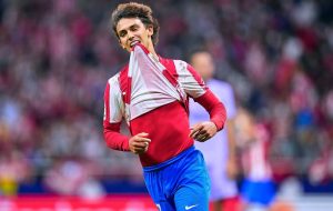 فعلا یاغی نخواهی شد! – خبرآنلاین