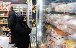 قیمت انواع گوشت مرغ/ ساق مرغ ۱۸۰۰ گرمی ۲۶۰ هزار تومان شد + جدول