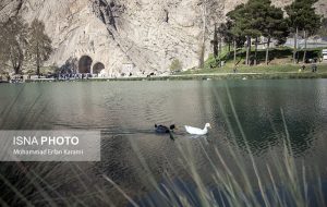 تاق‌بستان ساماندهی می‌شود – ایسنا