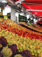 صدر نشینی انبه در بازار میوه / گیلاس 64 هزار تومان