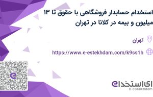 استخدام حسابدار فروشگاهی با حقوق تا ۱۳ میلیون و بیمه در کلانا در تهران