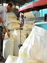 آغاز خرید برنج مازاد کشاورزان آغاز خرید برنج مازاد کشاورزان