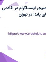 استخدام اکانت منیجر اینستاگرام در آکادمی زبان انگلیسی های پاندا در تهران