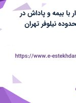 استخدام حسابدار با بیمه و پاداش در ELEDOCK در محدوده نیلوفر تهران