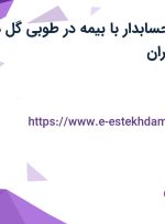 استخدام کمک حسابدار با بیمه در طوبی گل در محدوده اباذر تهران