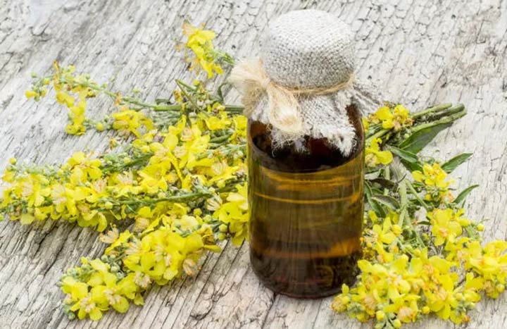 روغن خرگوشک و نحوه گرفتن آن