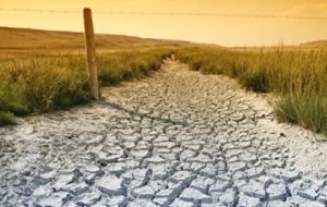 خشکسالی در 42 درصد اراضی اتحادیه اروپا خشکسالی در 42 درصد اراضی اتحادیه اروپا