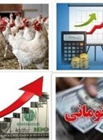 مقصر مرغ ۱۰۰ هزار تومانی کیست؟